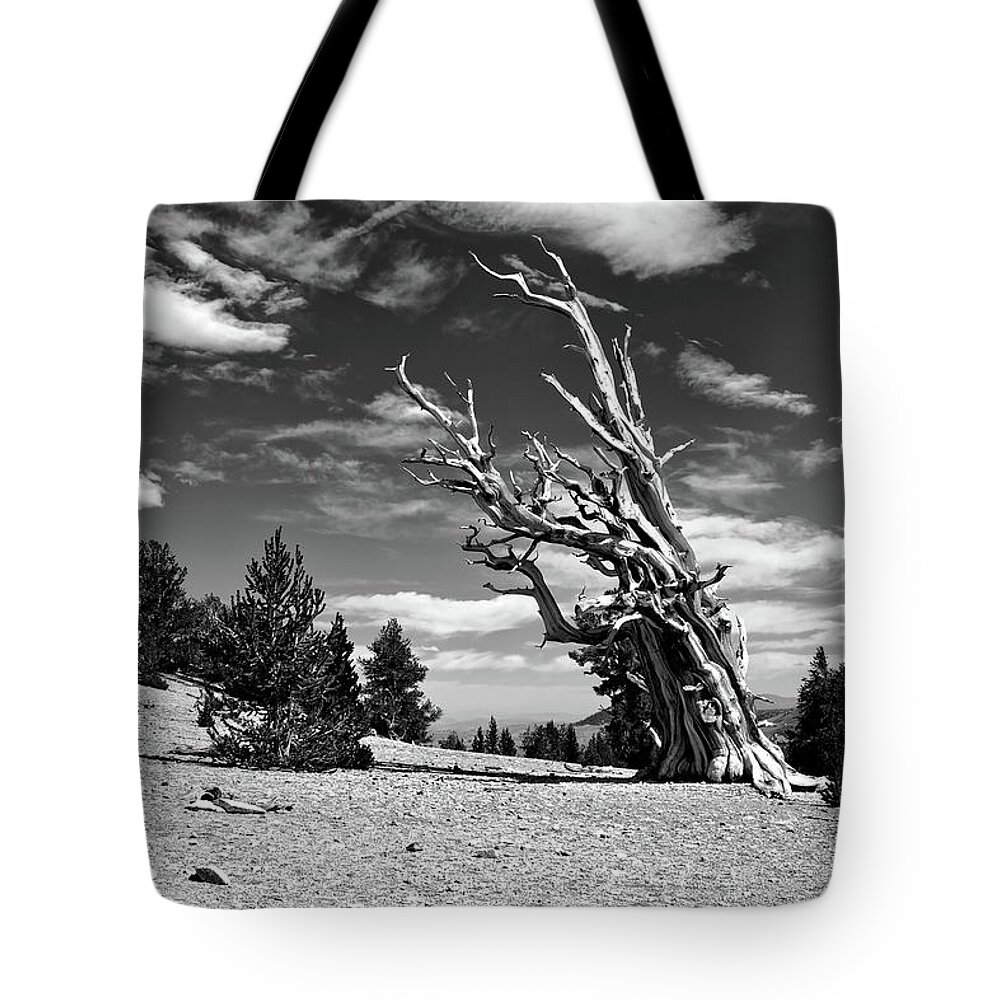 Ca Tote Bag featuring the photograph Wind Resistance by American Landscapes