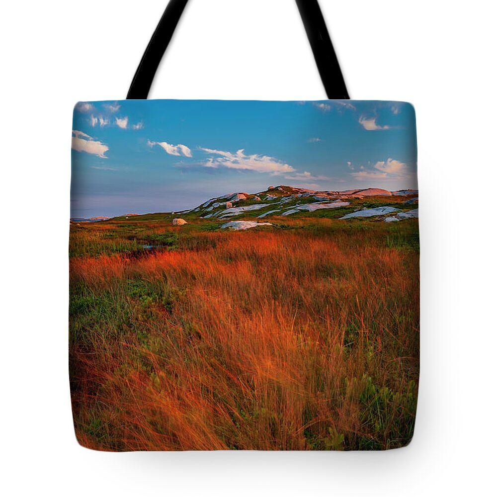 Coastal Wilderness Tote Bag featuring the photograph Wind-tossed Coastal Wilderness Grasses At Sunset by Irwin Barrett
