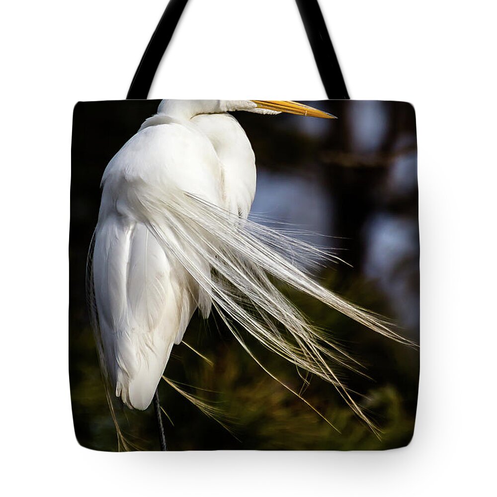 Chincoteague Tote Bag featuring the photograph Windblown egret by Robert Miller