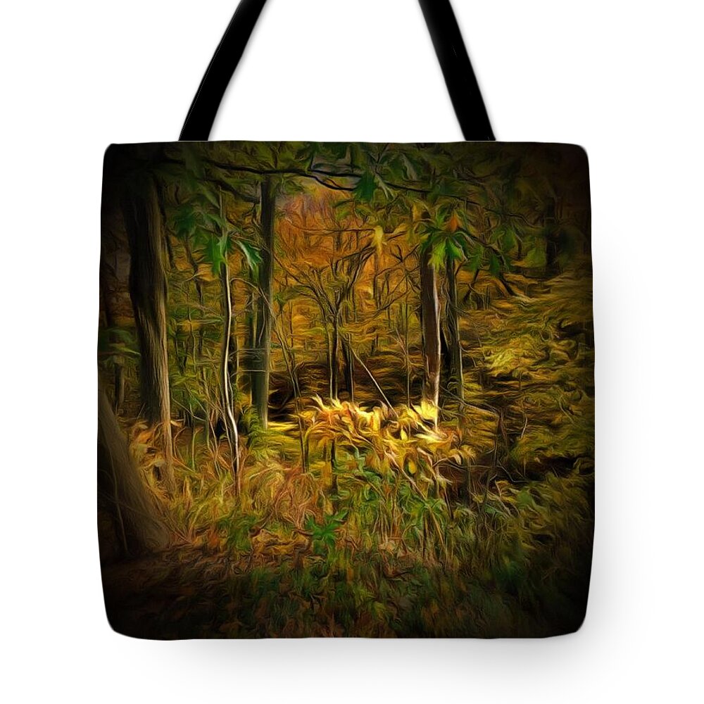 Forest Tote Bag featuring the photograph Window into the Forest by Christopher Reed