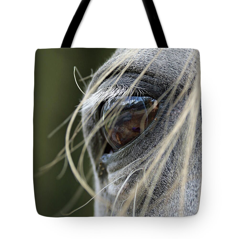 Horse Tote Bag featuring the photograph Window of the Soul by M Kathleen Warren