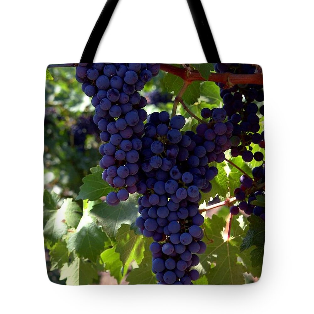 Grapes Tote Bag featuring the photograph Wine Grapes by Charlene Mitchell