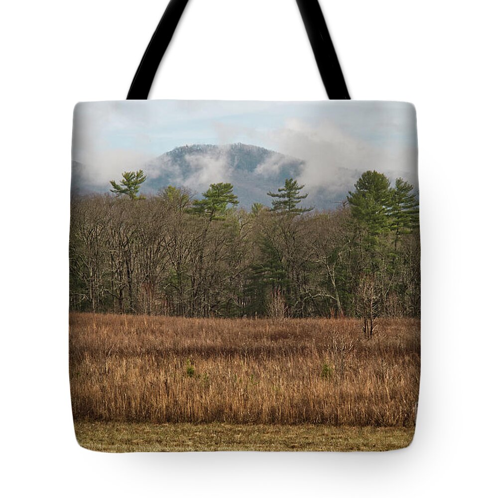 Winter Tote Bag featuring the photograph Winter at Cades Cove by Phil Perkins