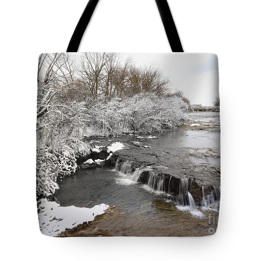 Goat Island Tote Bag featuring the photograph Winter at Goat Island by fototaker Tony
