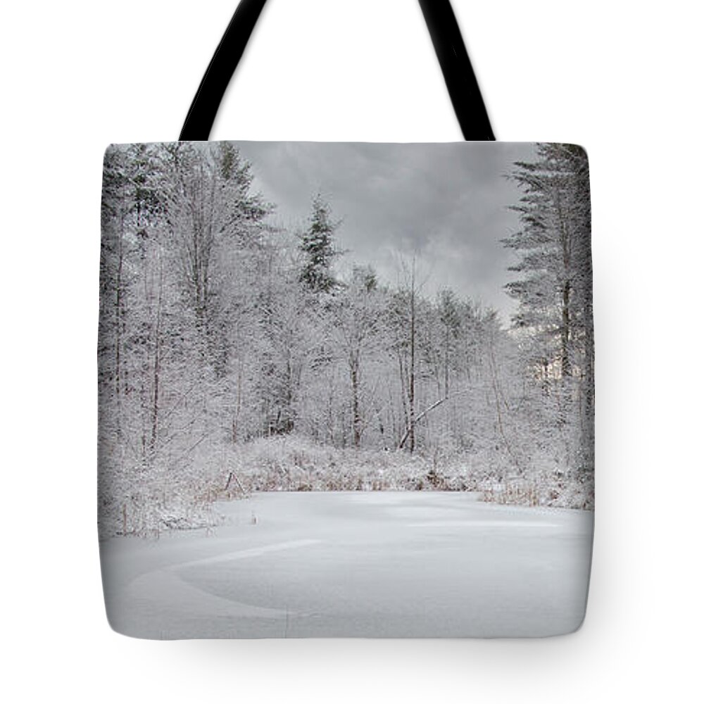 Winter Tote Bag featuring the photograph Winter at the Pond by Moira Law