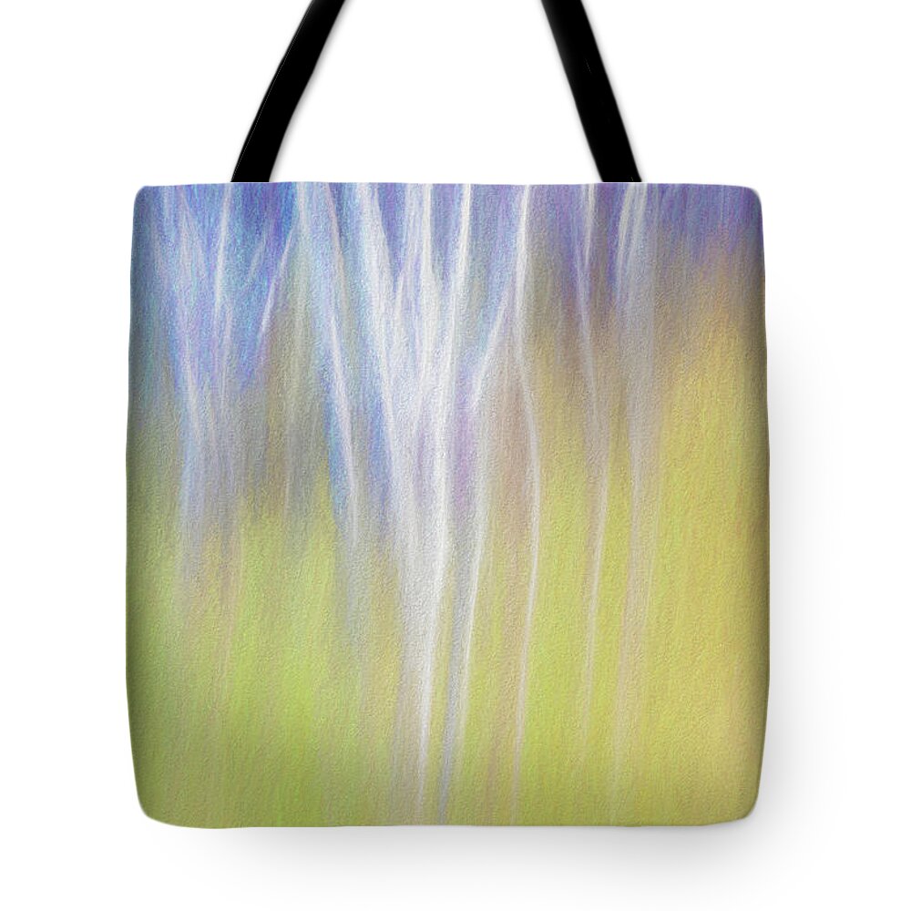 Niagara Tote Bag featuring the photograph Winter Birch by Marilyn Cornwell