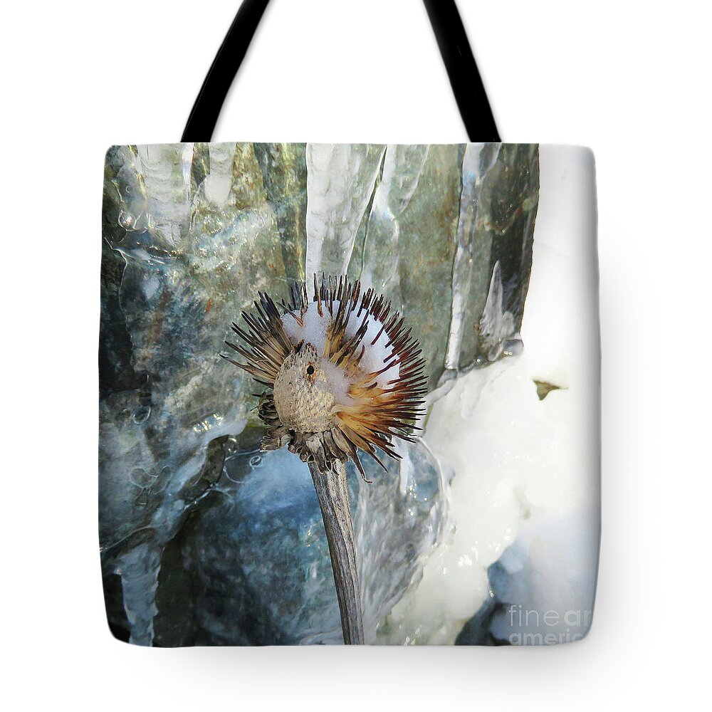 Winter Tote Bag featuring the photograph Winter Botanical 18 by Amy E Fraser