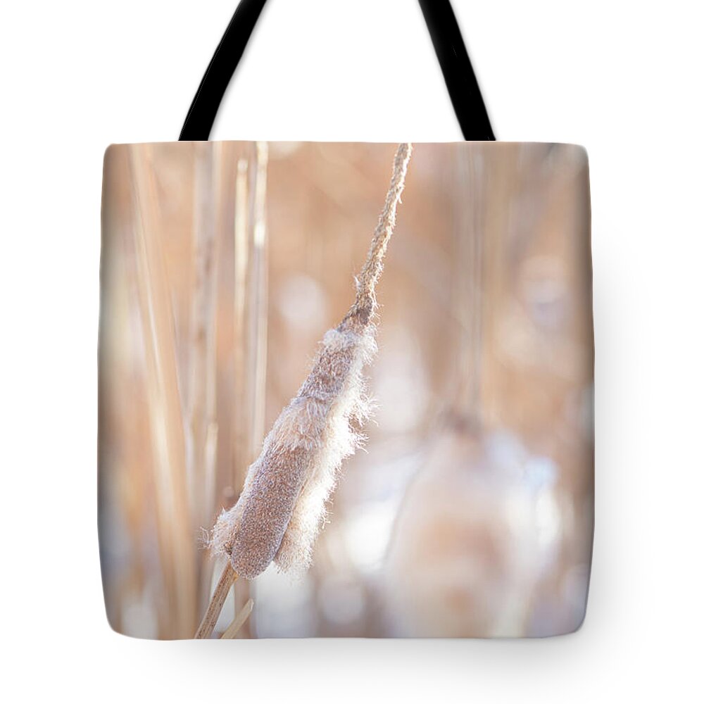 Winter Tote Bag featuring the photograph Winter Cattails by Karen Rispin