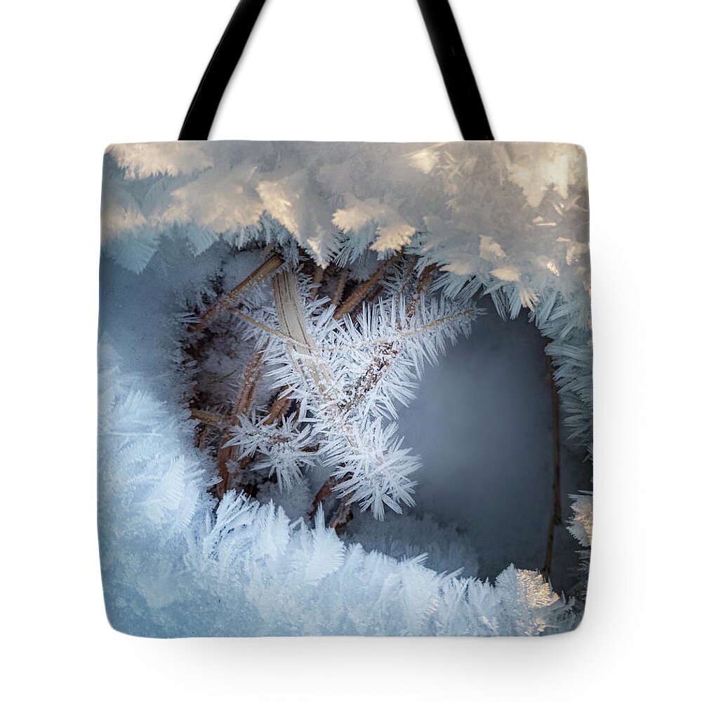 Winter Tote Bag featuring the photograph Winter Eye Pattern by Karen Rispin
