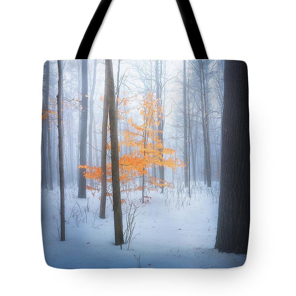 Forest Tote Bag featuring the photograph Winter Forest by Henry w Liu