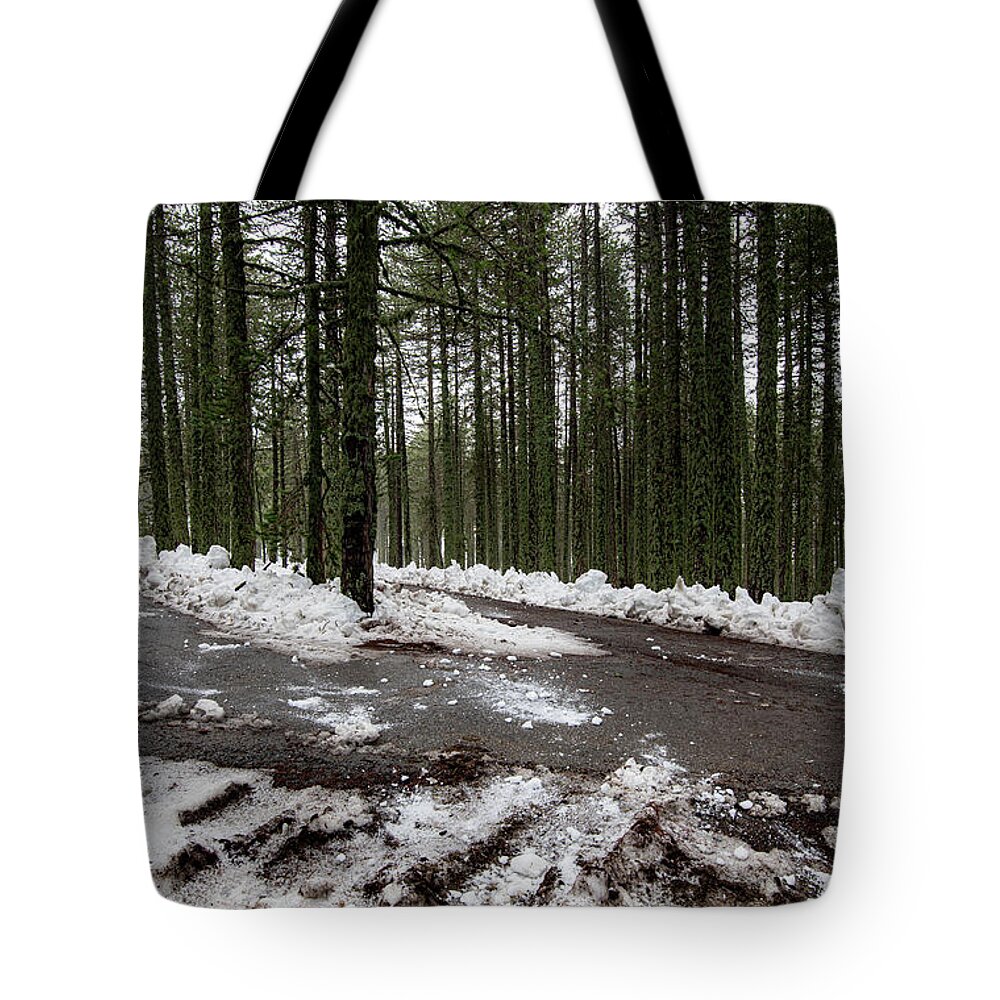 Wintertime Tote Bag featuring the photograph Winter forest landscape with snow on the ground by Michalakis Ppalis