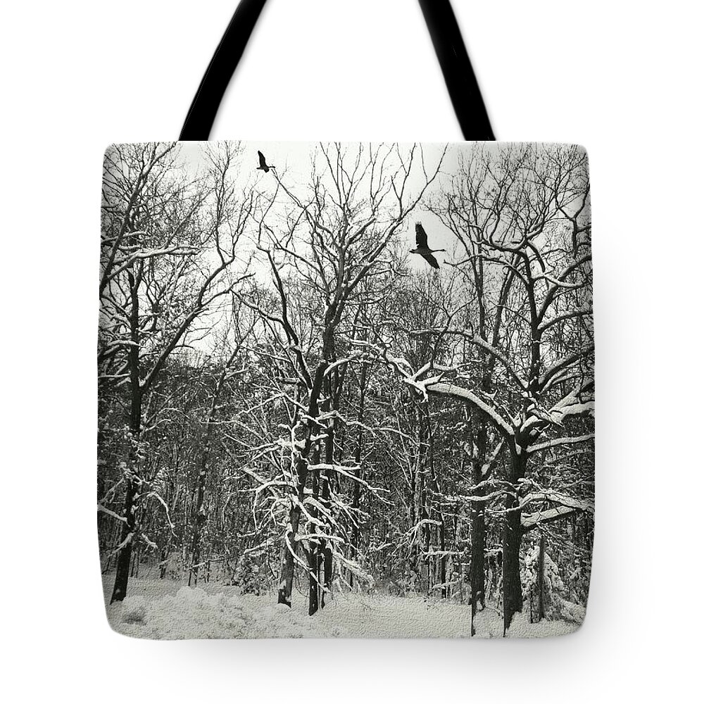 Winter Tote Bag featuring the photograph Winter Forest by Natalie Holland