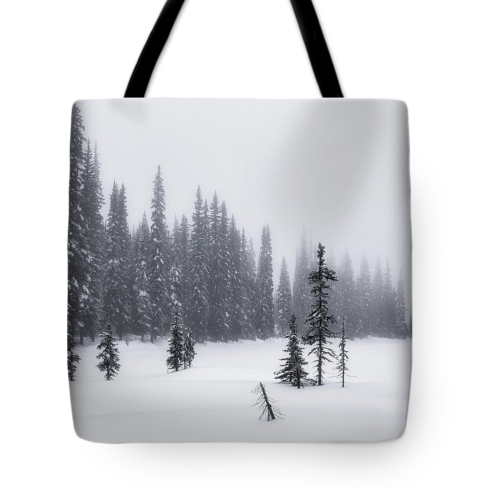 Black And White Photography Tote Bag featuring the photograph Winter Forest Refugees Black and White by Allan Van Gasbeck