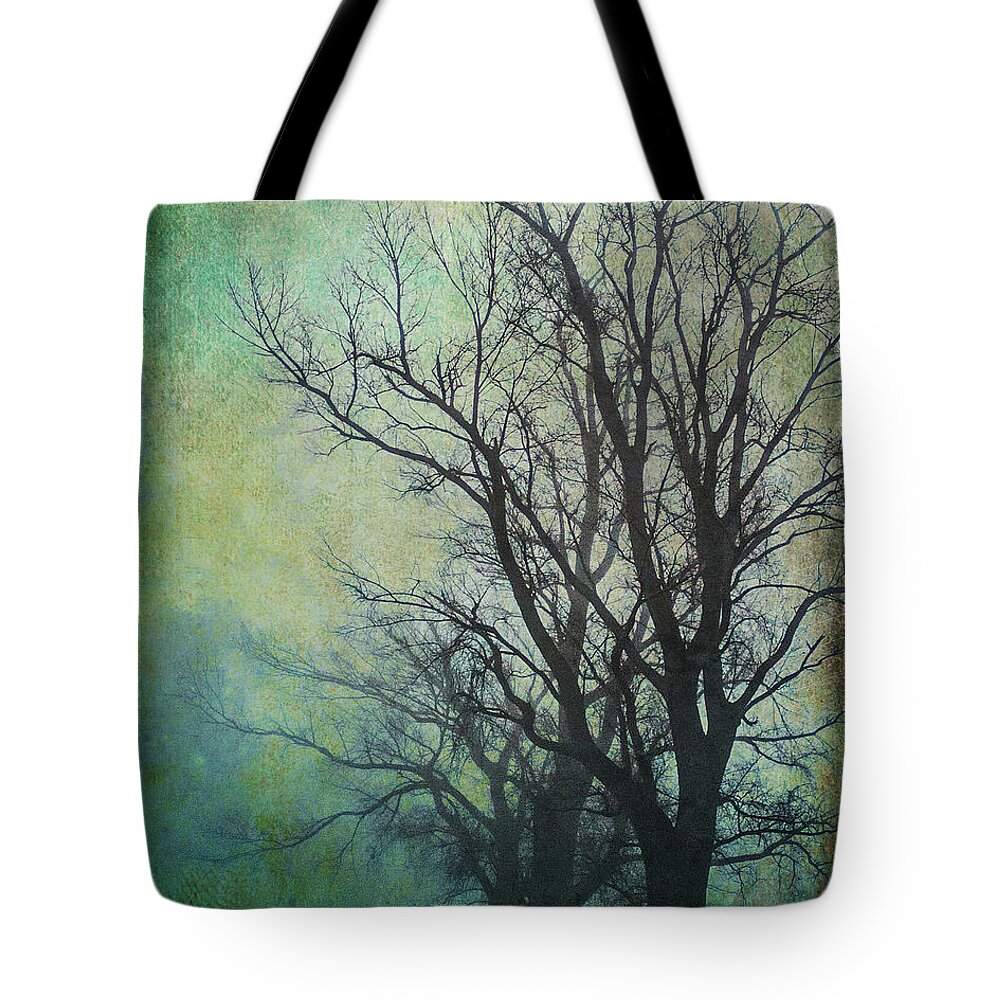 Tree Tote Bag featuring the photograph Winter Gloom by Roseanne Jones
