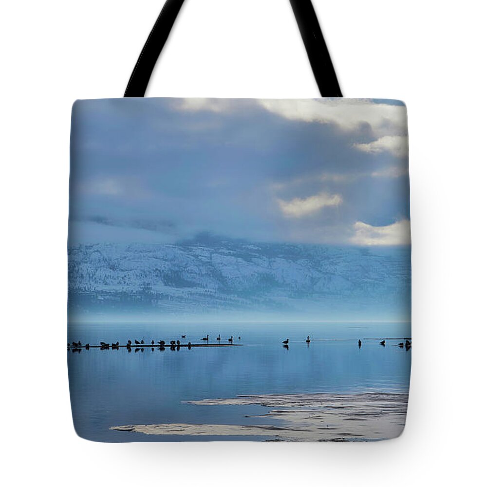 Landscape Tote Bag featuring the photograph Winter Gulls and Swans Wide by Allan Van Gasbeck