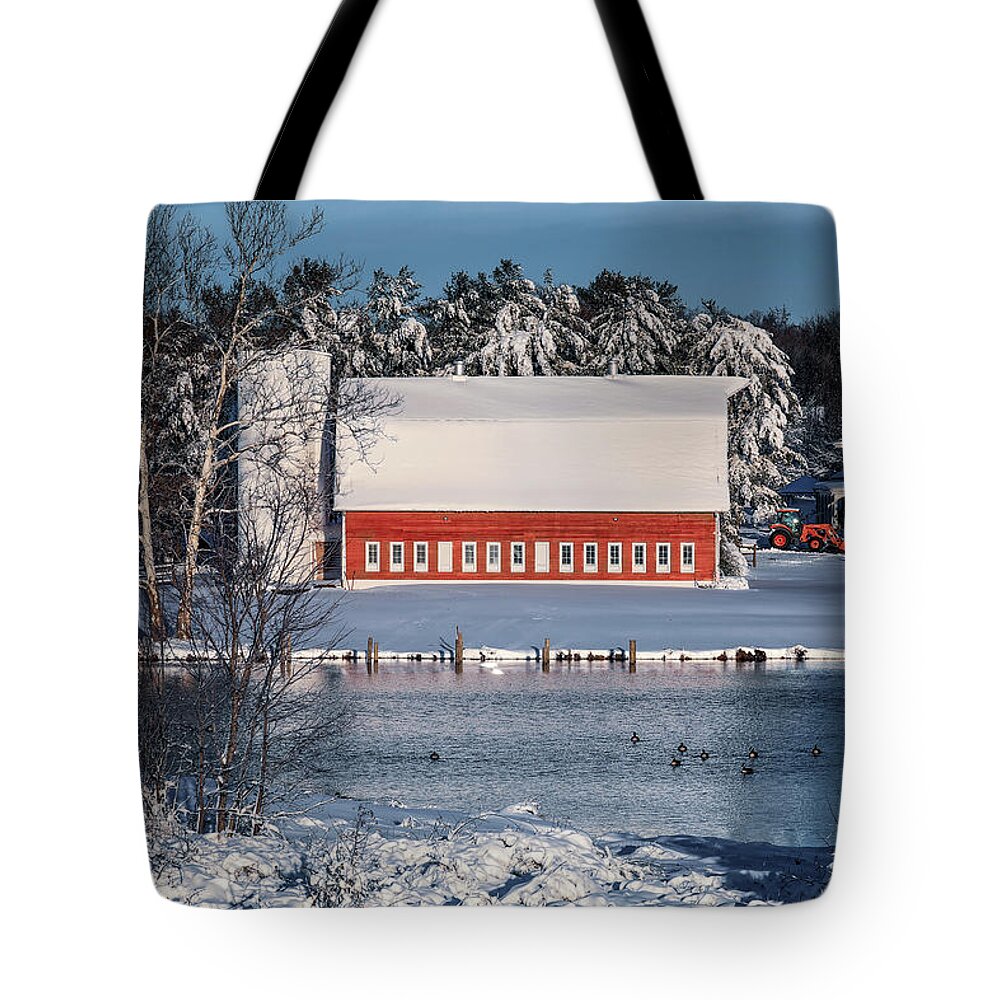 Snow Tote Bag featuring the photograph Winter Highlights w/o border by C Renee Martin