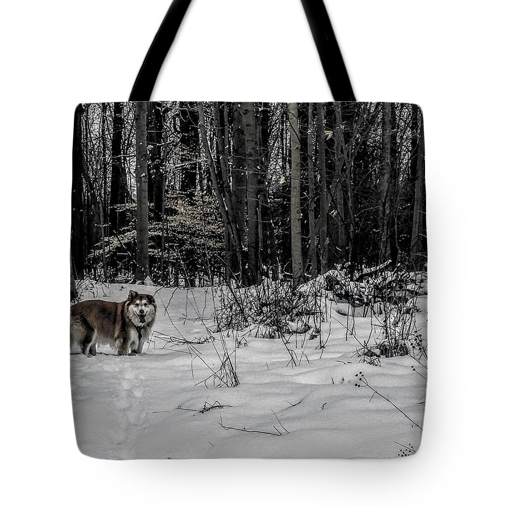  Tote Bag featuring the photograph Winter Hike by Brad Nellis