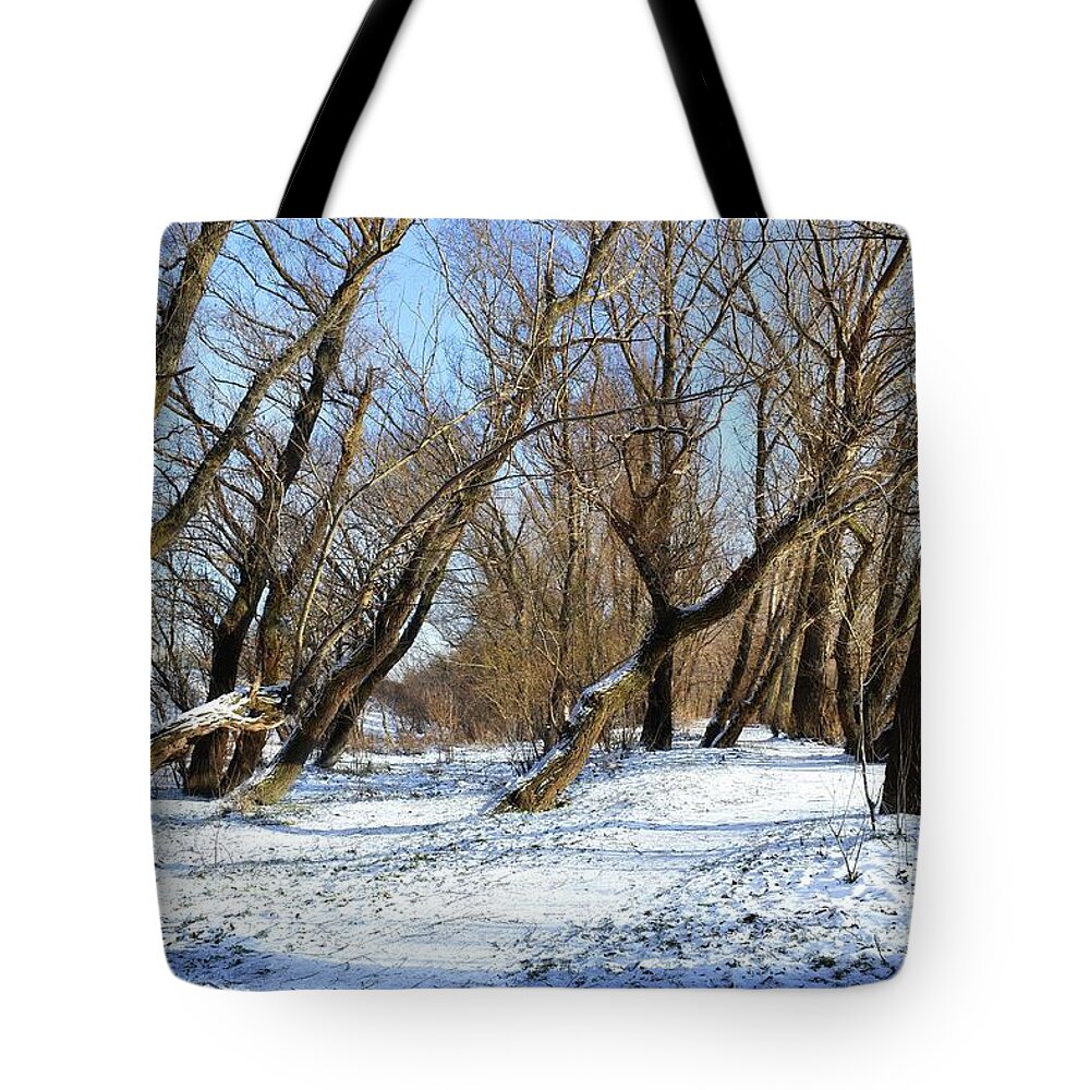 Winter Idyll Tote Bag featuring the photograph Winter Idyll in a Forest 02 by Leonida Arte