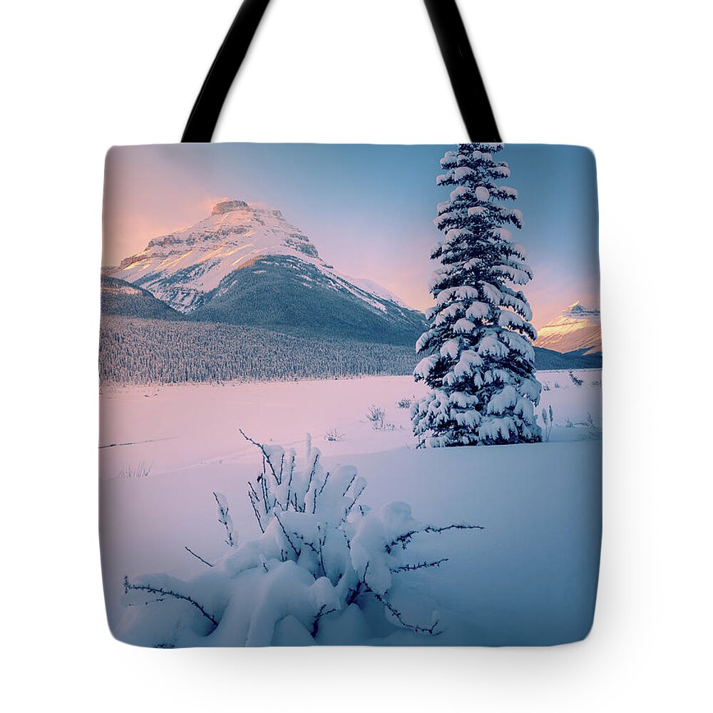 Winter Tote Bag featuring the photograph Winter in Mountains by Henry w Liu