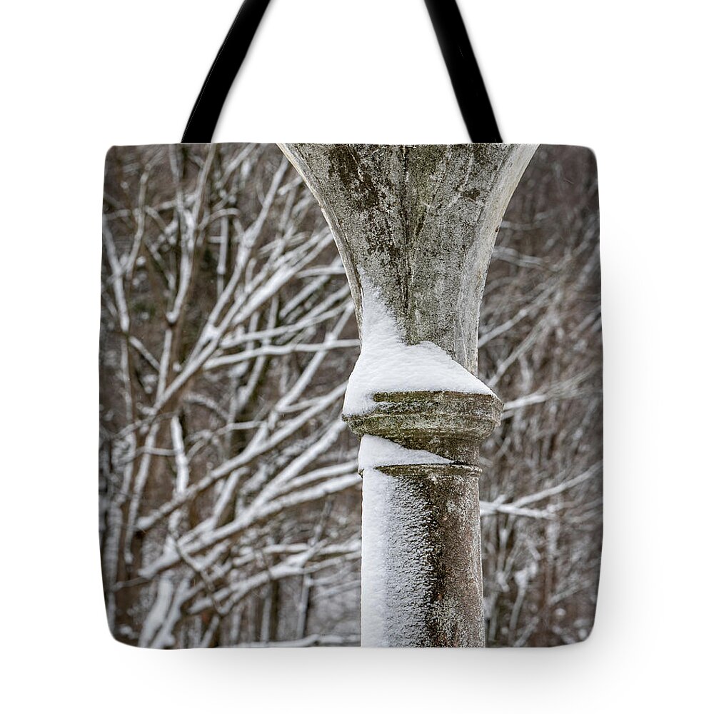 Tibbetts Brook Park Tote Bag featuring the photograph Winter in Tibbetts Brook Park 3 by Kevin Suttlehan