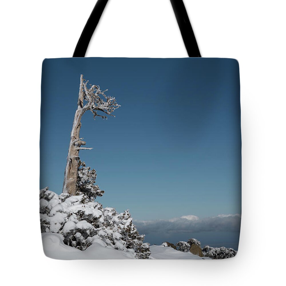 Single Tree Tote Bag featuring the photograph Winter landscape in snowy mountains. frozen snowy lonely fir trees against blue sky. by Michalakis Ppalis