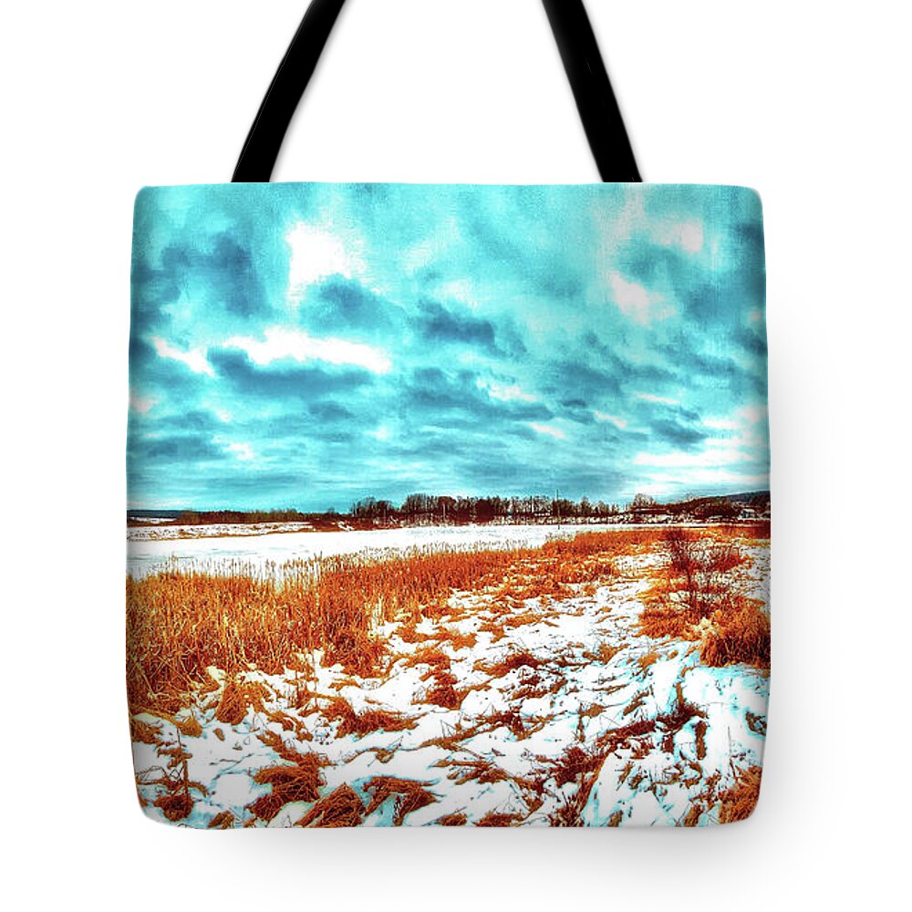 Wetlands Tote Bag featuring the photograph Winter Lays Too Long by Robert Dann