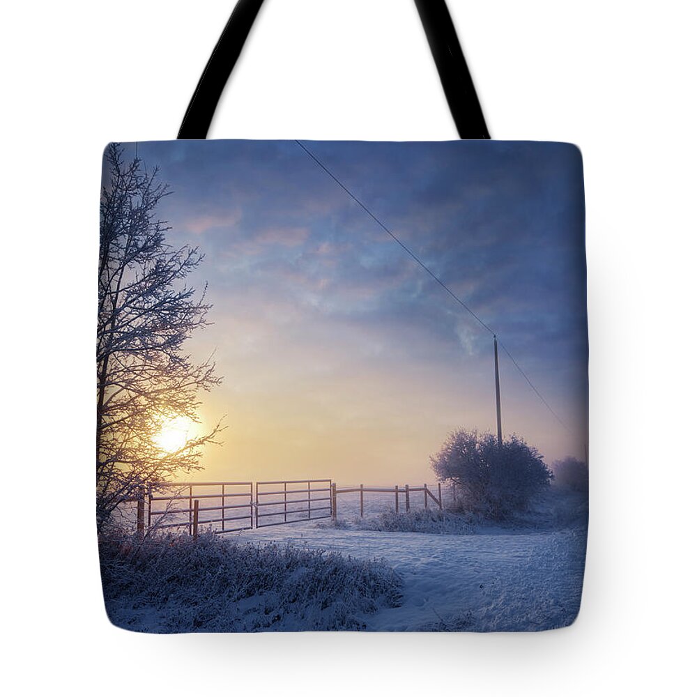 Winter Tote Bag featuring the photograph Winter Morning by Dan Jurak