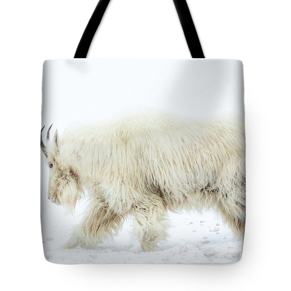Mountain Goat Tote Bag featuring the photograph Winter Mountain Goat by Wesley Aston