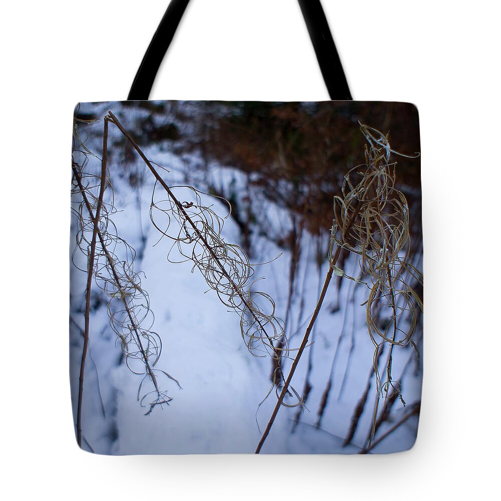 Rosebay Willowherb Tote Bag featuring the photograph Winter of Fireweed by Elena Perelman