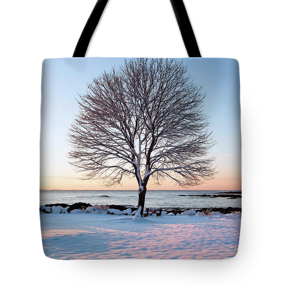 Winter Tote Bag featuring the photograph Winter on the Coast by Eric Gendron