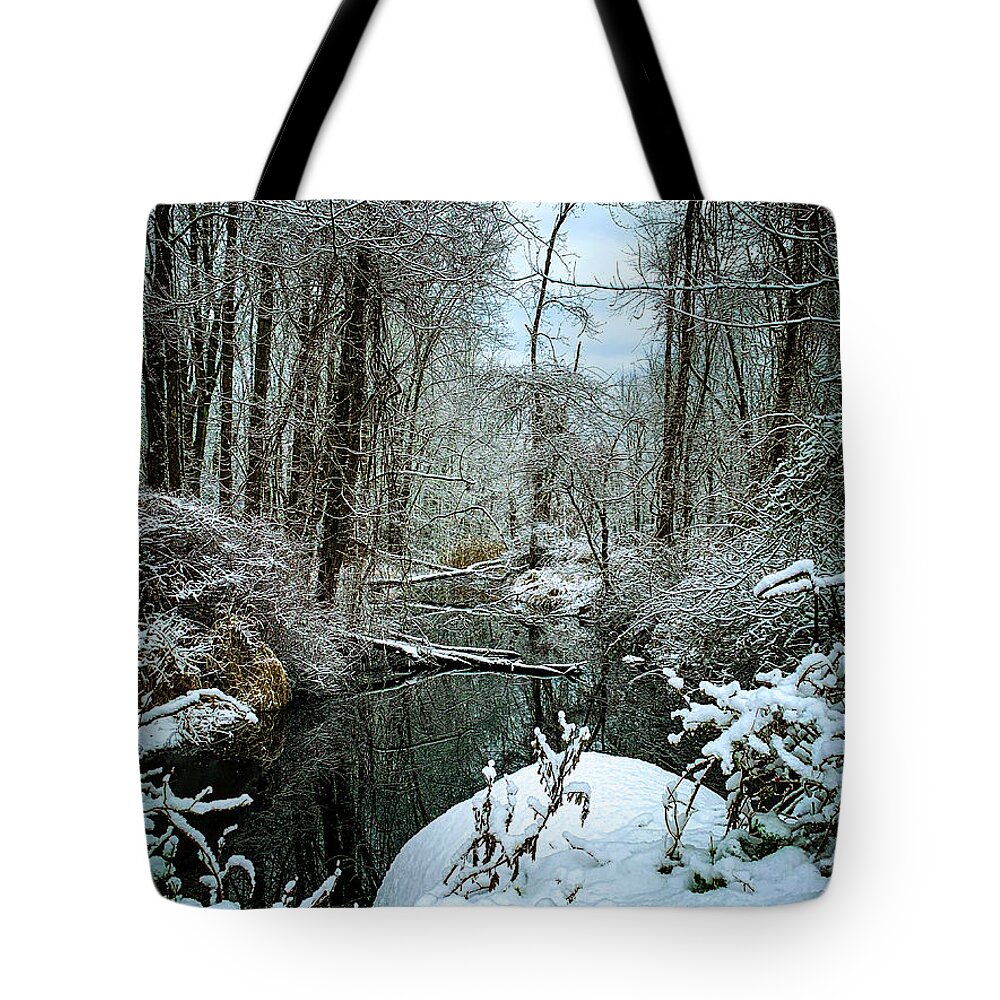Creek Tote Bag featuring the photograph Winter on the creek by Jim Feldman