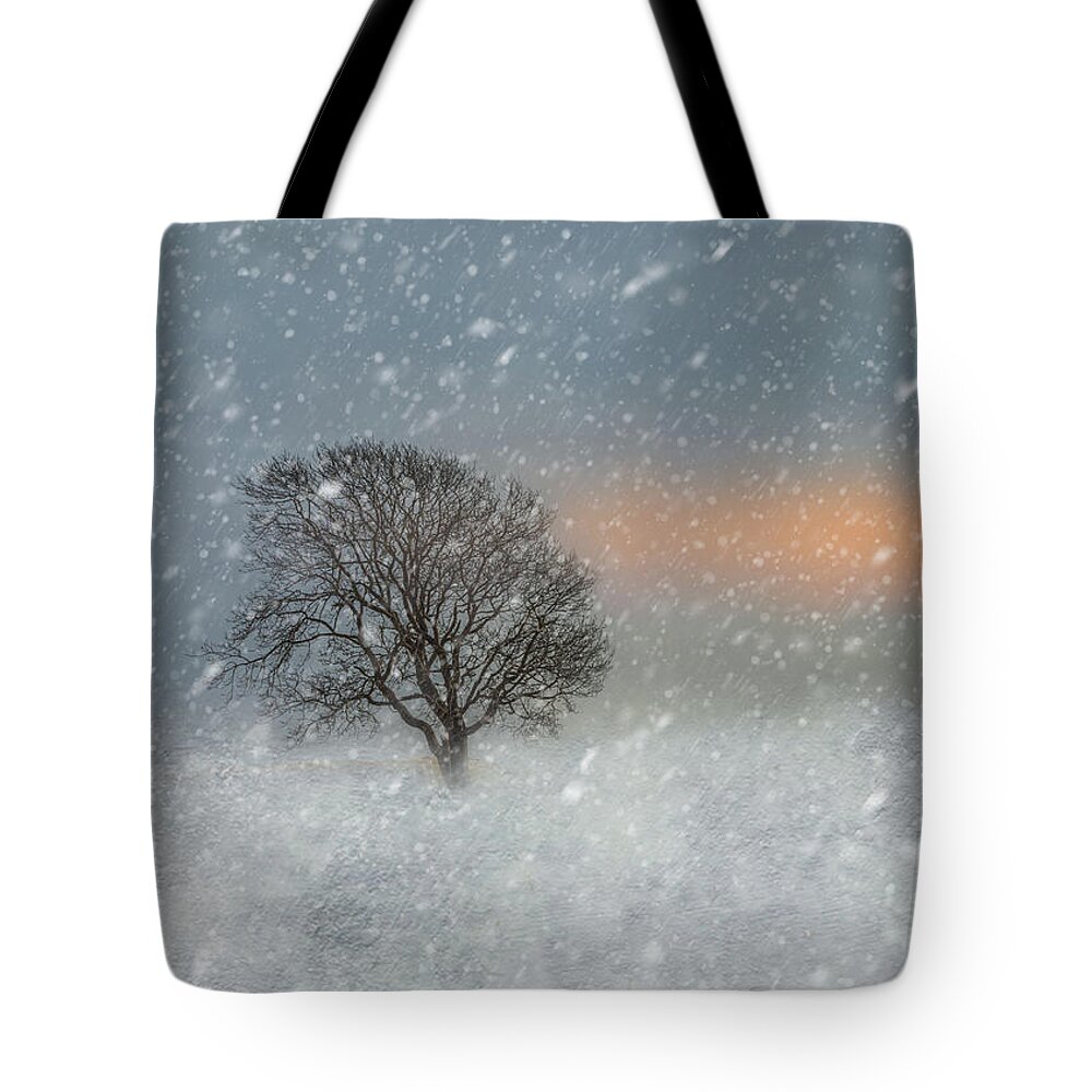 Cold Tote Bag featuring the photograph Winter snow scene by Sue Leonard
