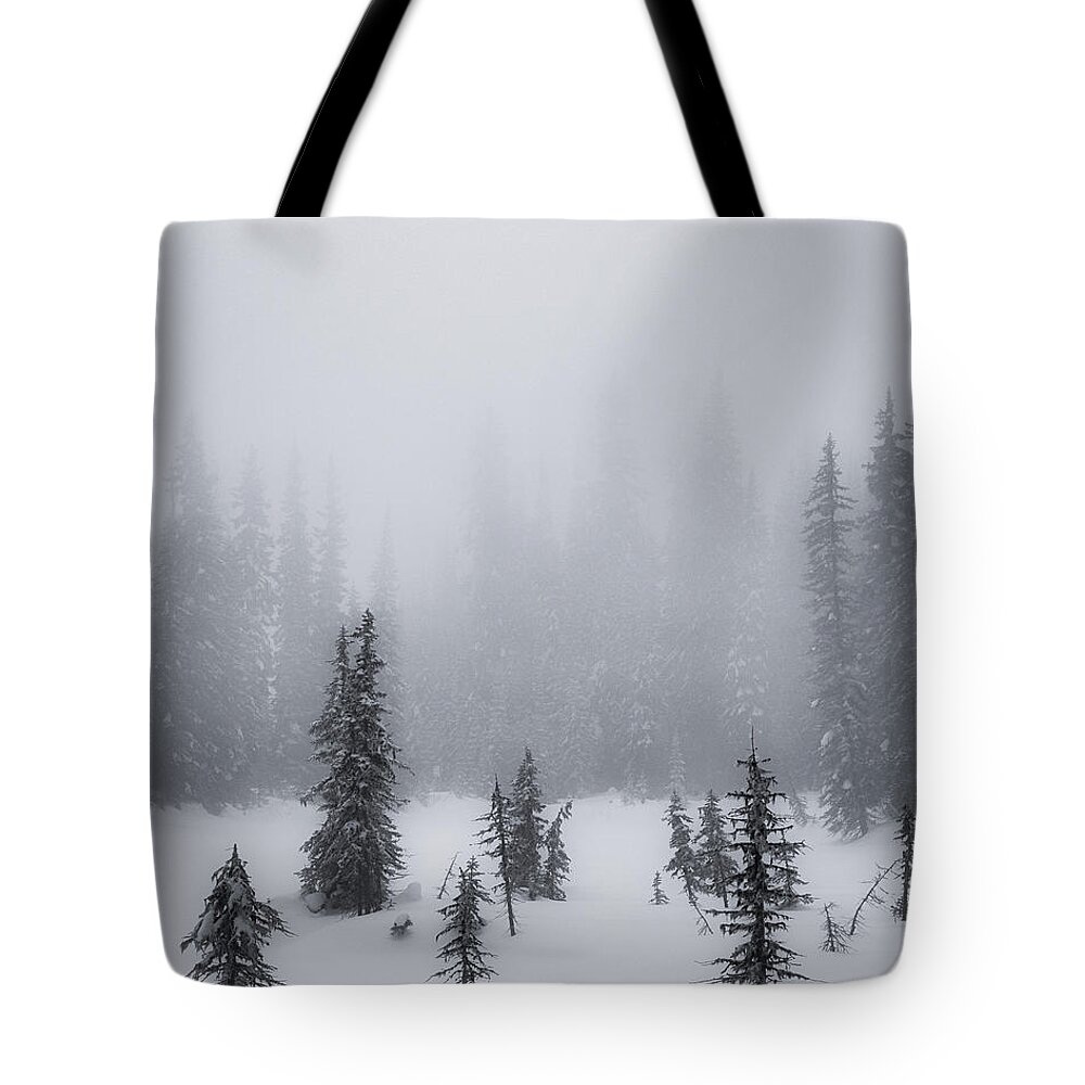 Black And White Photography Tote Bag featuring the photograph Winter Spruce Black and White by Allan Van Gasbeck