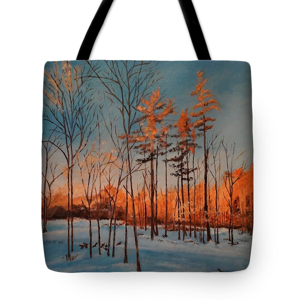 Barbara Moak Tote Bag featuring the painting Winter Sunrise in Brookfield NH by Barbara Moak