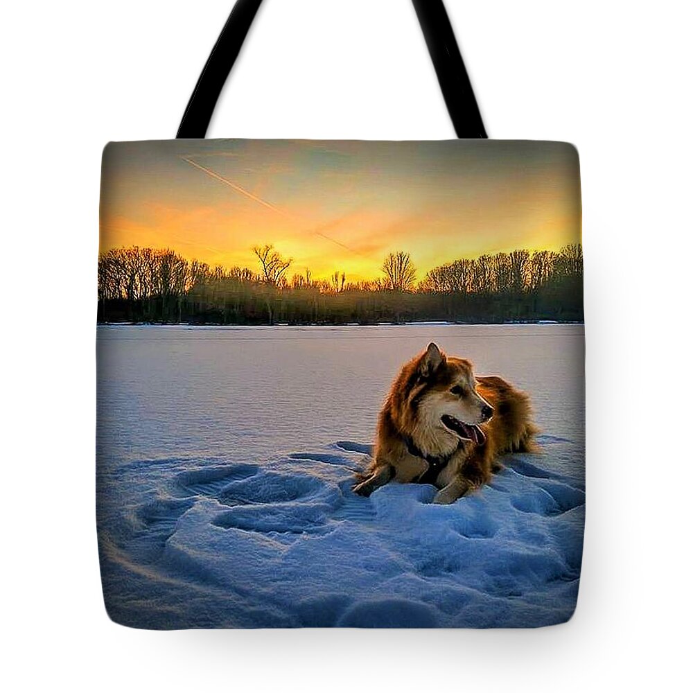  Tote Bag featuring the photograph Winter Sunset by Brad Nellis