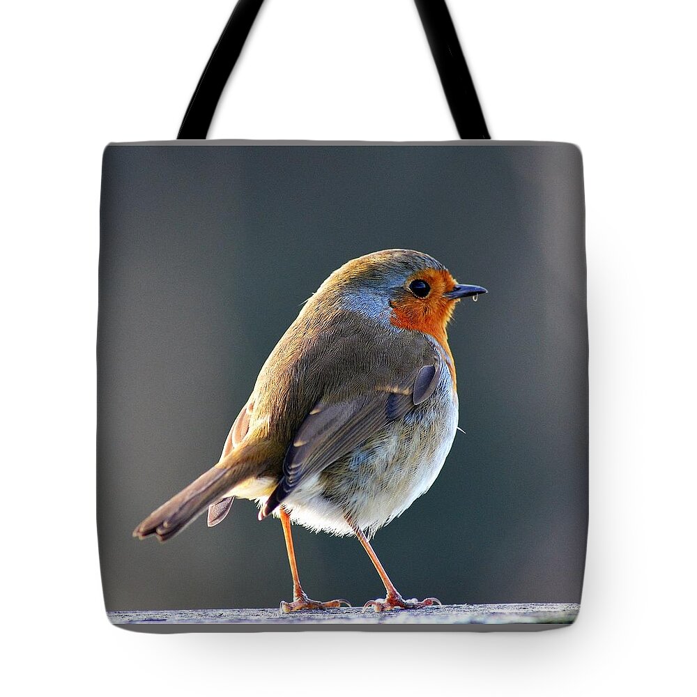 Winter Sunshine Tote Bag featuring the photograph Winter Sunshine Robin Redbreast by Neil R Finlay