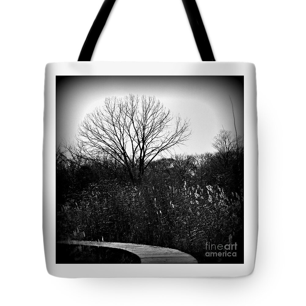 Tree Tote Bag featuring the photograph Winter Tree And Bridge At Homewood Izaak Walton Preserve - Holga by Frank J Casella