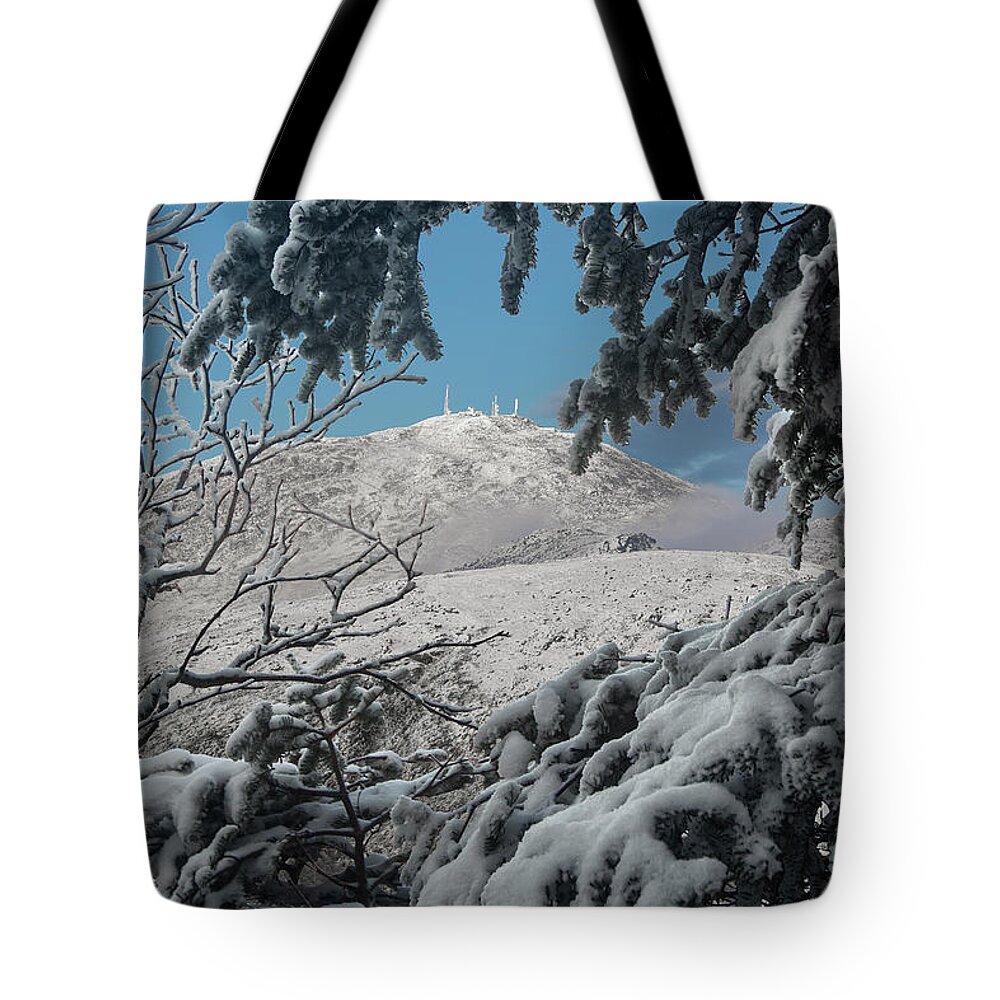 Winter Tote Bag featuring the photograph Winter Trees Mount Washington by White Mountain Images