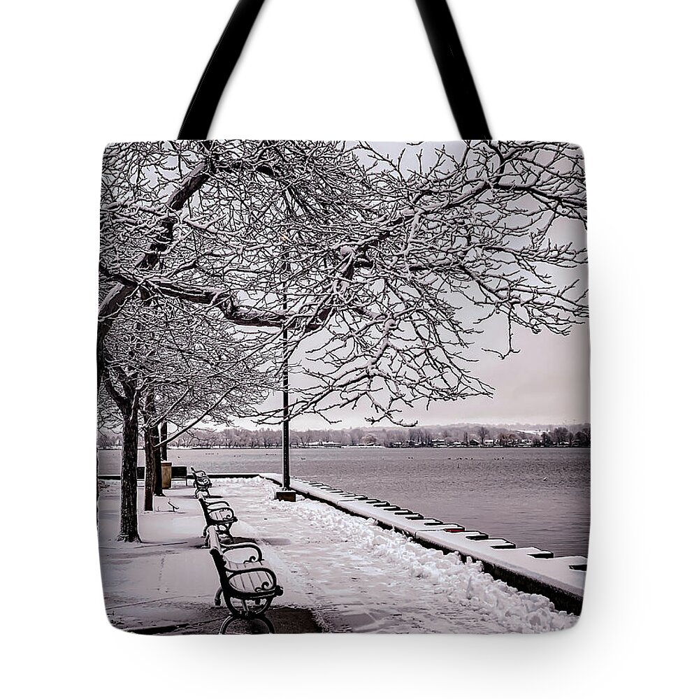 Trees Tote Bag featuring the photograph Winter Waterfromt by William Norton