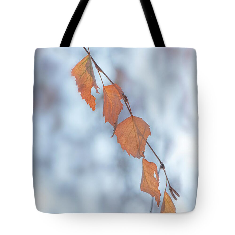 Winter Tote Bag featuring the photograph Winter Weeping Birch Leaves by Karen Rispin