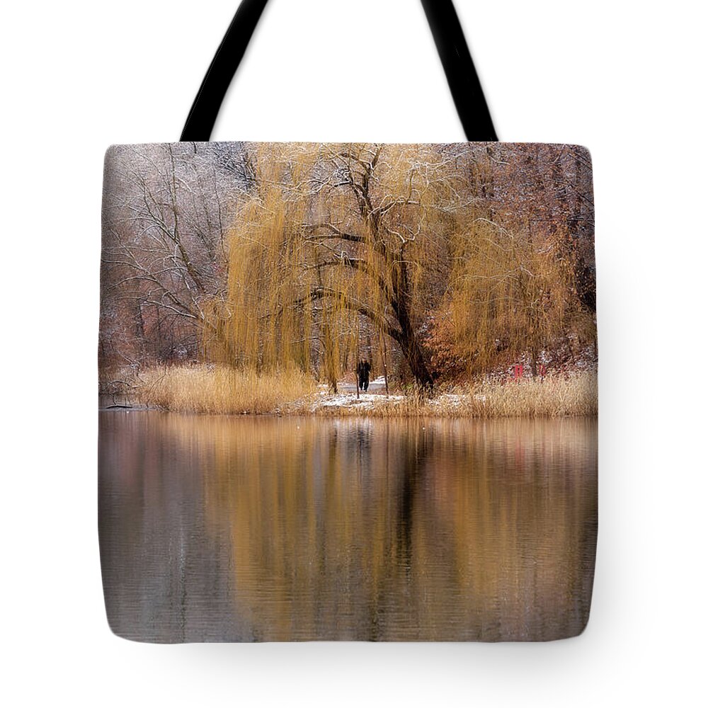 Weeping Willow Tote Bag featuring the photograph Winter Willow by John Randazzo