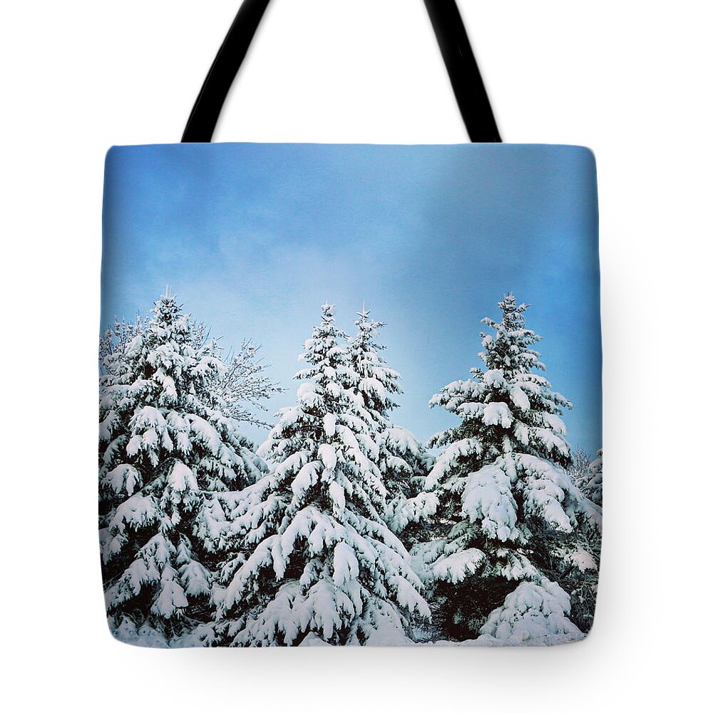 Winter Tote Bag featuring the photograph Winter Wonderland by Sarah Lilja
