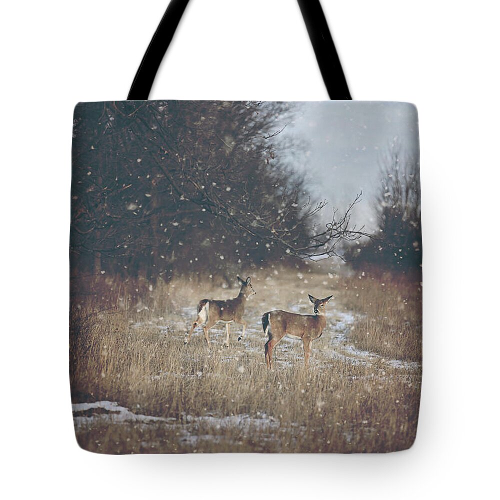 Snow Tote Bag featuring the photograph Winter Wonders by Carrie Ann Grippo-Pike