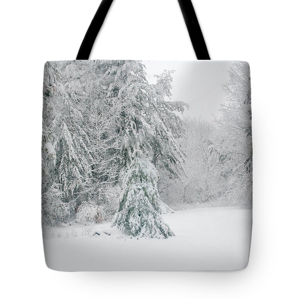 Snow Tote Bag featuring the mixed media Winterland by Moira Law