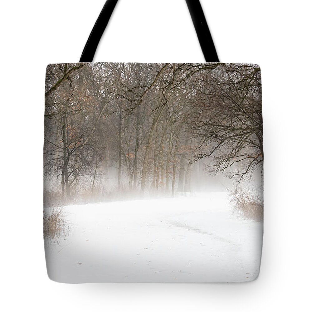 Winter Tote Bag featuring the photograph Winter's Magic by Forest Floor Photography