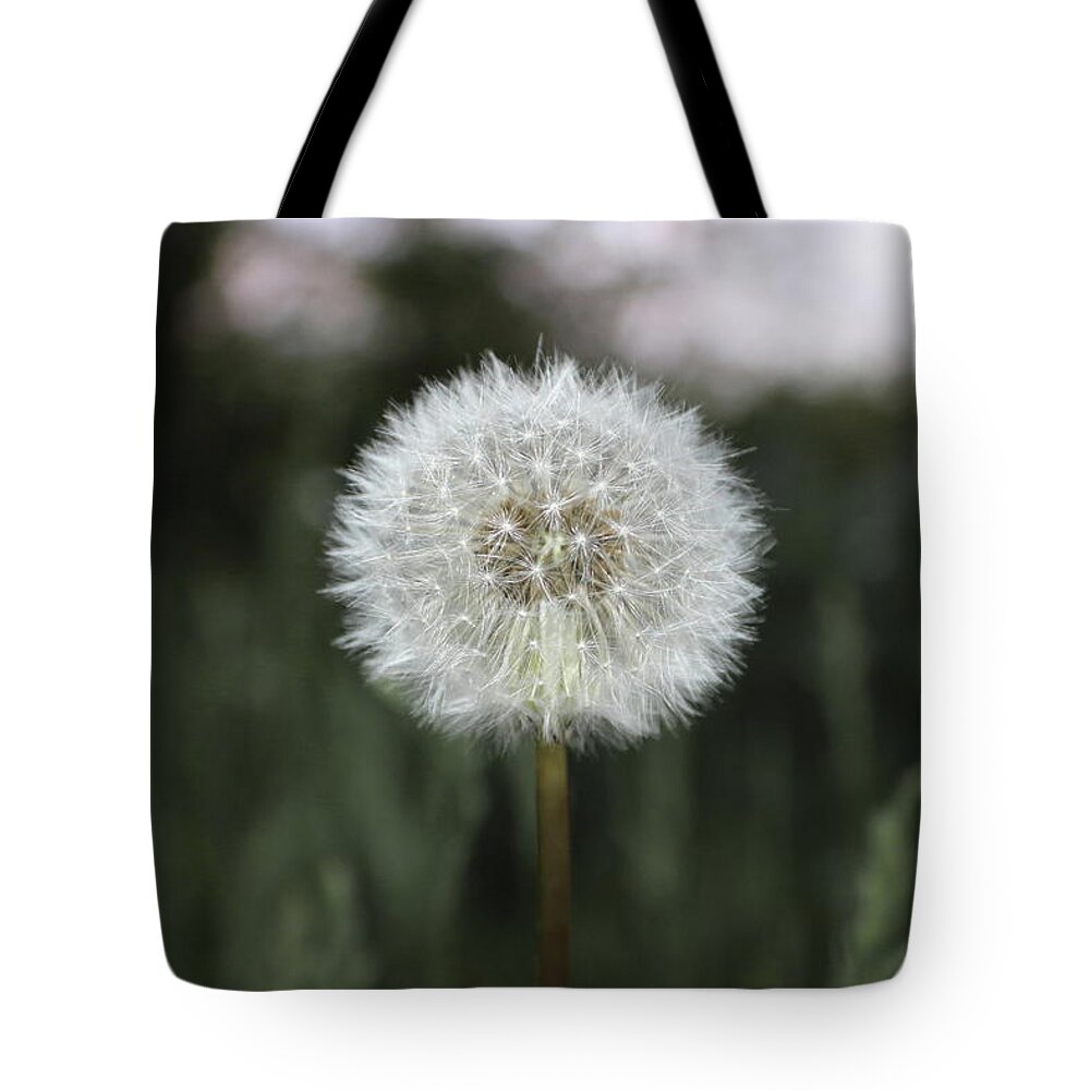 Dandelion Tote Bag featuring the photograph Wish by Kenneth Pope