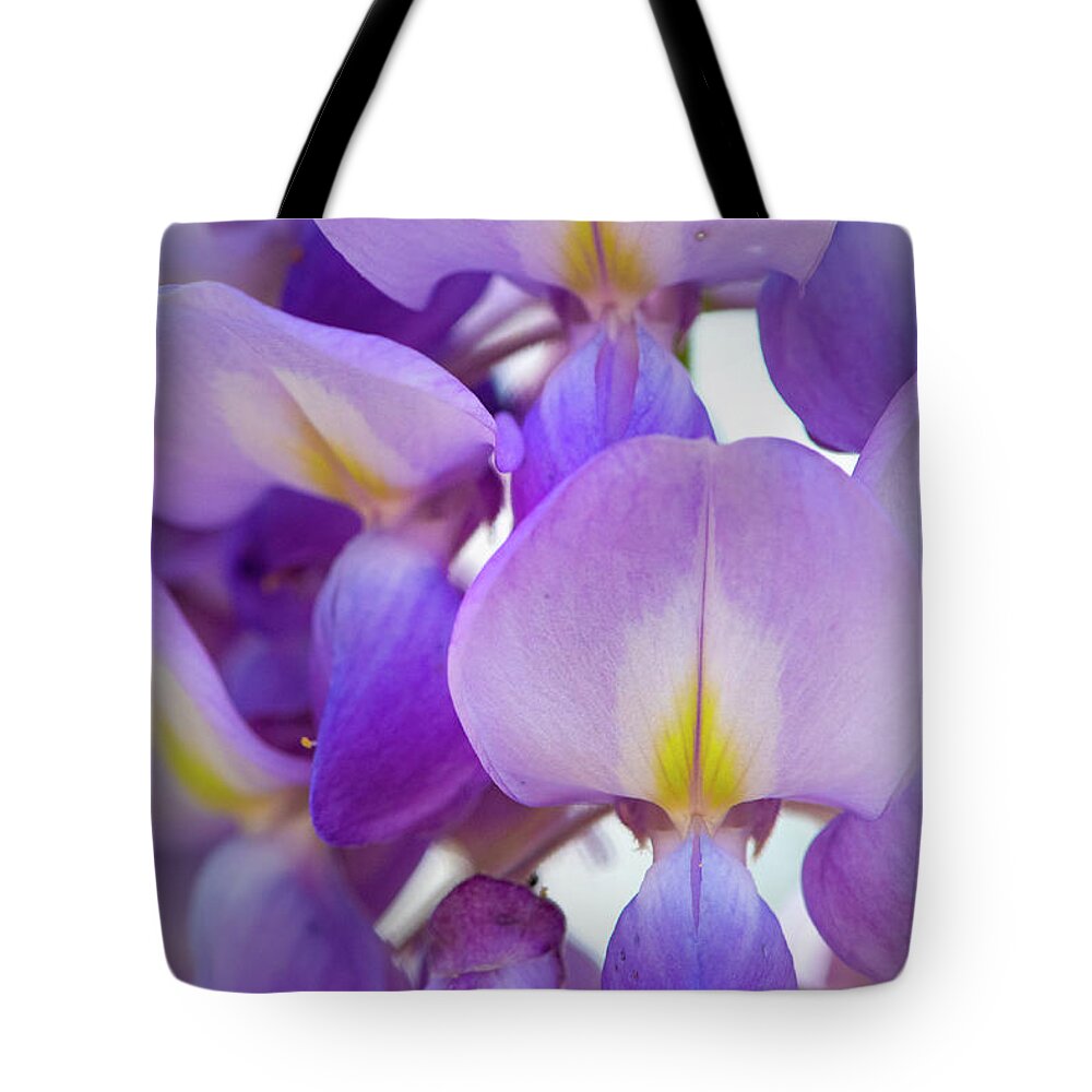 Wisteria Tote Bag featuring the photograph Wisteria Close Up by Karen Rispin