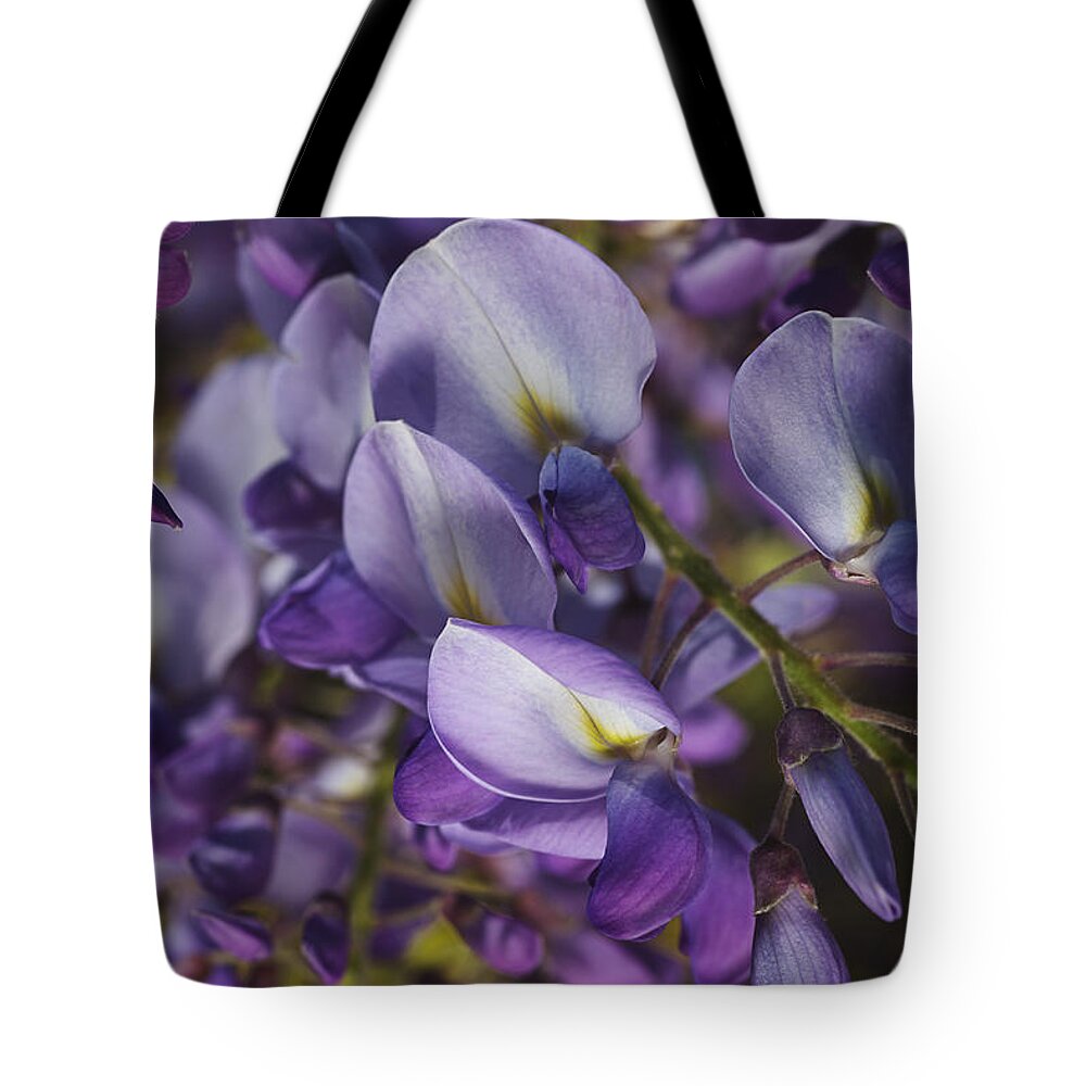 Acanthaceae Tote Bag featuring the photograph Wisteria Grace by Joy Watson