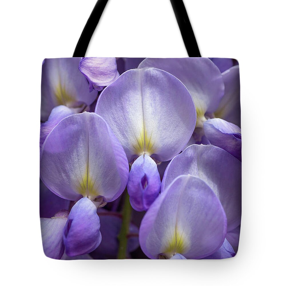 Wisteria Tote Bag featuring the photograph Wisteria by Olivier Parent