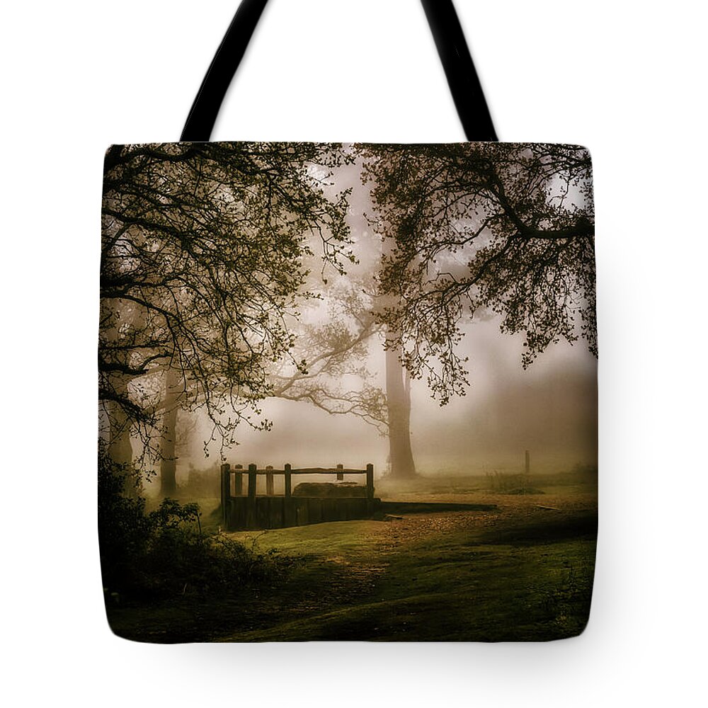 Woods Tote Bag featuring the photograph Wistful Woodland by Chris Boulton